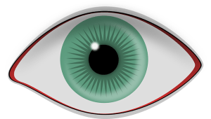 eye-309608_640