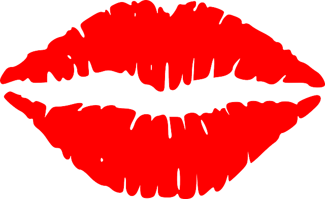 lips-145758_640